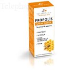 LES 3 CH&Ecirc;NES Propolis spray gorge