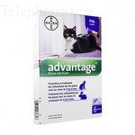 BAYER Advantage 80mg chat/lapin pipette 0.8ml x 6
