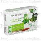 ARKOPHARMA Arkofluides artichaut & fenouil