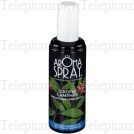 AROMASPRAY GIROFLE CAMPHRE