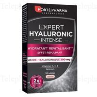 EXPERT HYALURONIC INT GELU B
