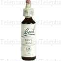 FLEUR DE BACH Original n&deg;26 Rock rose (h&eacute;lianth&egrave;me) fleurs de bach flacon 20ml