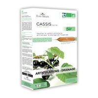 FLORA NATURA Cassis Bio 20 Ampoules de 15ml