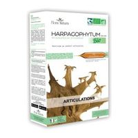 FLORA NATURA Harpagophytum Bio 20 Ampoules de 15ml