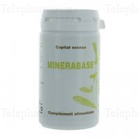 LERECA MINERABASE 60 GEL