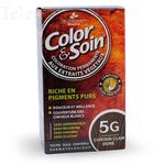 LES 3 CH&Ecirc;NES Color & soin n&deg;5G ch&acirc;tain clair dor&eacute;