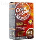 LES 3 CH&Ecirc;NES Color & soin n&deg;6B marron cacao