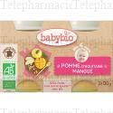 BABYBIO Fruits - Petits pots Pomme / Mangue d&egrave;s 4 mois 2x130g