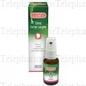 OLIOSEPTIL Spray gorge-larynx 20ml