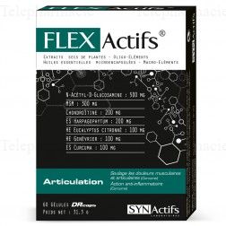 SYNACTIFS FLEXActifs articulations