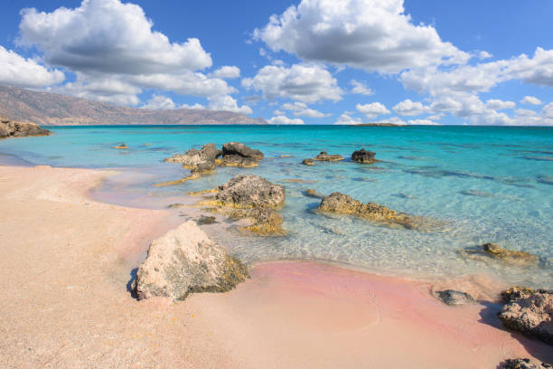 Rubrique n&deg;2 de test